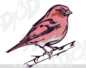Vector BIRD Purple Finch colored SVG ai eps pdf dxf png jpg Download sparrow Digital image discount coupons