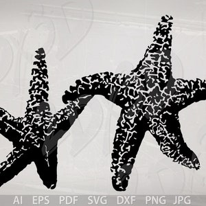 Vector STARFISH, Download files, Digital, graphical, ai, eps, png, pdf, svg, jpg, discount coupons