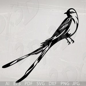 Vector BIRD Scissor tailed Flycatcher ai eps pdf svg dxf png jpg Download Digital image