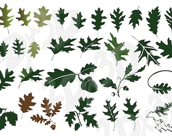 Vector LEAF OAKS, flora, AI, eps, pdf, jpg, svg, png Download, Digital image, graphical image, discount coupons