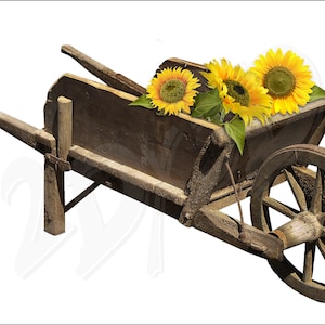 PNG ひまわり付き木製手押し車、Photoshop で作成したファイル、ファイルのダウンロード、jpg、pdf、svg、植物、割引クーポン