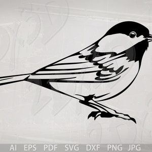 Vector BIRD, Black-capped Chickadee, ai, eps, pdf, svg, dxf, png, jpg Download, Digital image sparrow, discount coupons