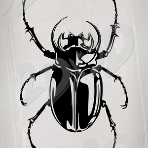 Vector BEETLE, AI, eps, pdf, svg, dxf, png, jpg Descargar, Imagen digital, imagen gráfica, cupones de descuento