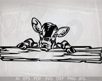 Calf on Fence Vector Image (Digital Download)
