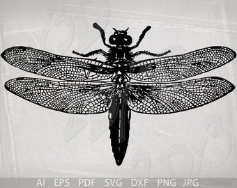 Vector INSECT, AI, PNG, eps, pdf, svg, dxf, jpg Download, Digital image, graphical, discount coupons