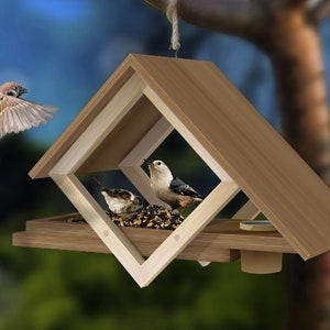 Op de afbeelding: Houten vogelvoederhuisje met een geometrisch ontwerp, met twee kleine vogels en gevuld met zaden. Een derde vogel vliegt in de buurt. Het voederhuisje hangt aan een tak.