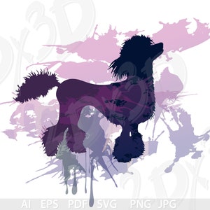 Vector POODLE dog for printing, Download files, Digital, graphical, ai, eps, png, pdf, svg, jpg, coupons