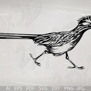Vector BIRD, Greater Roadrunner, ai, eps, pdf, svg, dxf, png, jpg Download, Digital image, discount coupons