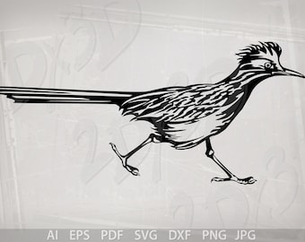 Vector BIRD, Greater Roadrunner, ai, eps, pdf, svg, dxf, png, jpg Download, Digital image, discount coupons