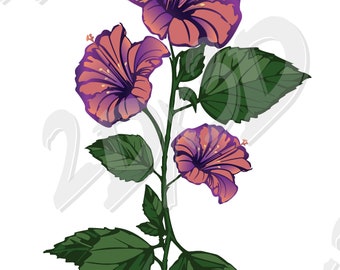Vector FLOWERS, flora, Download, Digital image, graphical image, AI, eps, pdf, jpg, svg, png, discount coupons