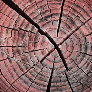May include: Close-up of a cross-section of a tree trunk, showcasing concentric rings and radial cracks. The wood is painted in a deep red color, with dark gray and black accents in the cracks and rings, creating a textured, natural pattern.