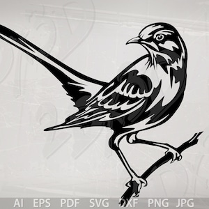 Vector PÁJARO, Sinsonte, ai, eps, pdf, svg, dxf, png, jpg Descargar, Imagen digital, Sinsonte norteño