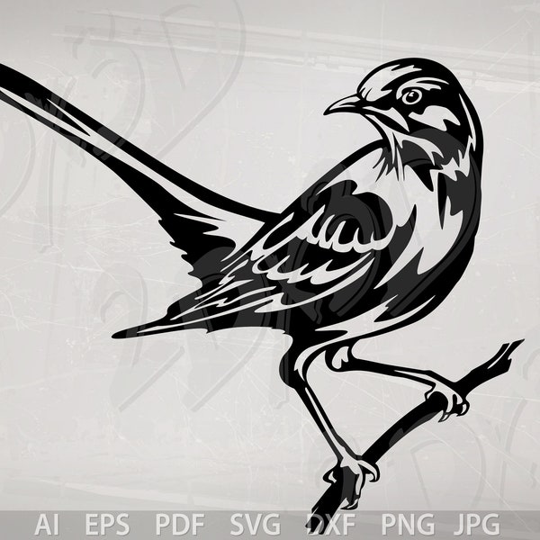 Vector BIRD, Mockingbird, ai, eps, pdf, svg, dxf, png, jpg Download, Digital image, northern mockingbird