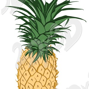 Vettore ANANAS, AI, eps, pdf, png, svg, jpg Scarica file, Digitale, grafico, buoni sconto