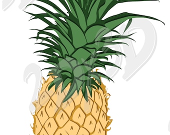 Pineapple Vector Illustration (ai, eps, png, svg, jpg) (Digital Download)