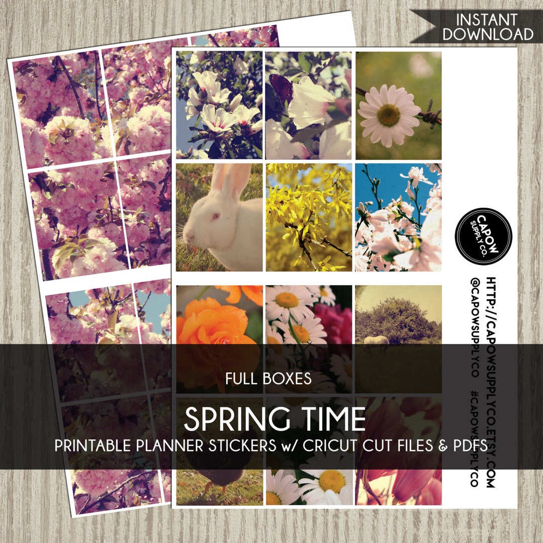 Printable Planner Stickers Spring Cherry Blossoms Full Box Filler Set ...