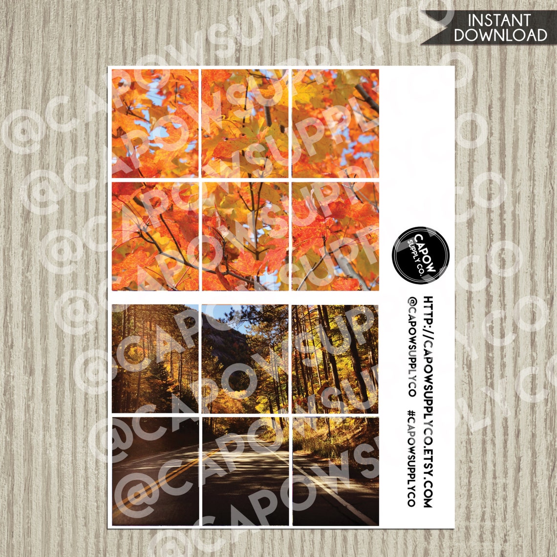 Printable Planner Stickers Fall Leaves Foliage Pumpkins Full Box Filler ...