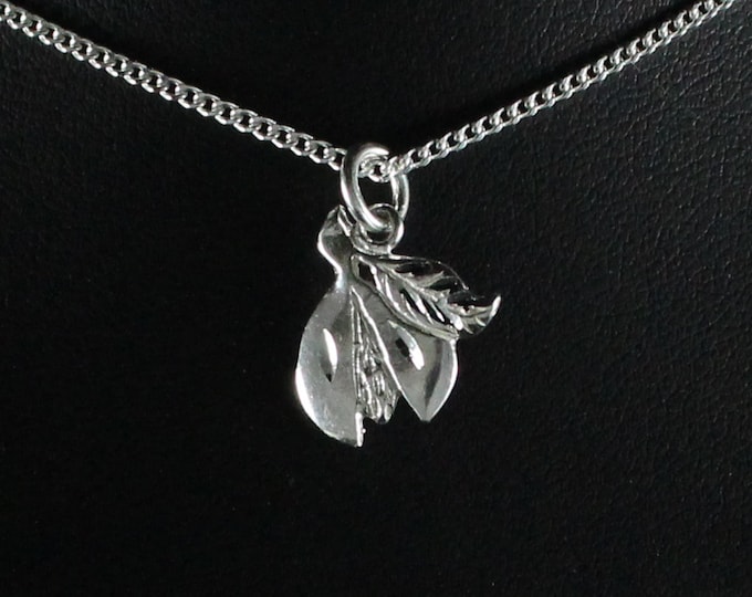 Flat Grenada Nutmeg Pendant with Chain in .925 Sterling Silver