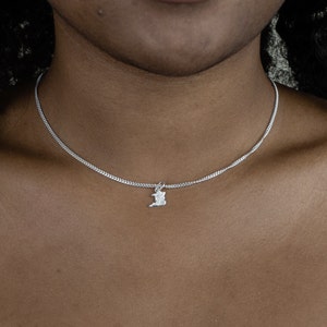 May include: A silver necklace with a small pendant shaped like the outline of a country. The chain is a delicate curb link style. The pendant is centered on the chest.