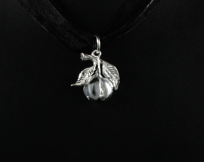Grenada Nutmeg Pendant with Chain in .925 Sterling Silver