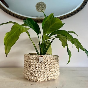 Crochet Neutral String Houseplant Basket