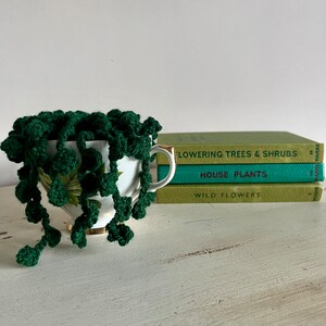 May include: A white teacup with gold edging contains a dark green crocheted plant, with trailing strands. Three green books, titled "Flowering Trees & Shrubs" and others, are stacked behind the teacup. The scene is set on a white, distressed surface.