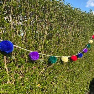May include: A garland featuring a series of round, fuzzy pom-poms in various colours including blue, purple, teal, cream, and red, all strung together on a single white cord, creating a decorative line of soft, spherical textile elements.