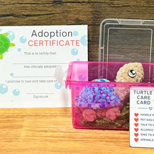 Crochet Pet Turtle, Pretend Cage, Adoption Form image 1