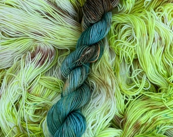 Doof ‘N’ Puss -- Lincoln 75/25 SW merino nylon sock yarn 450 yards, hand-dyed yarn, sock set