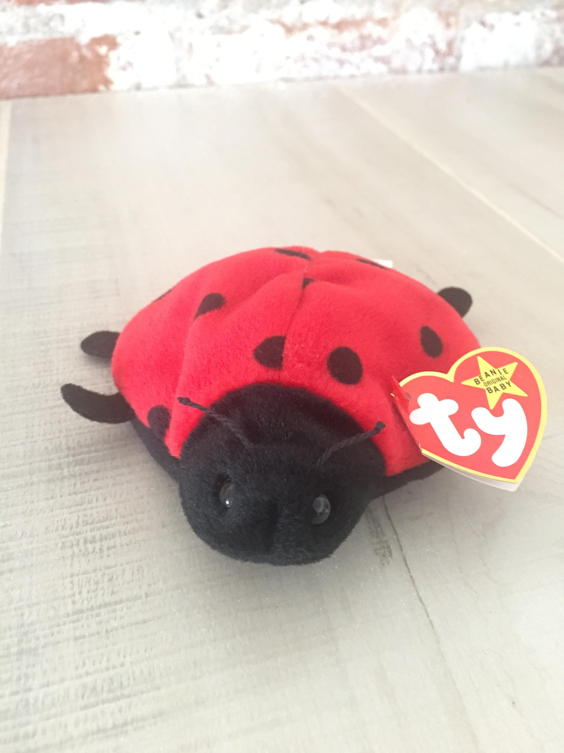 ladybug beanie baby