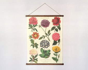 Flower garden vintage poster botanical school chart