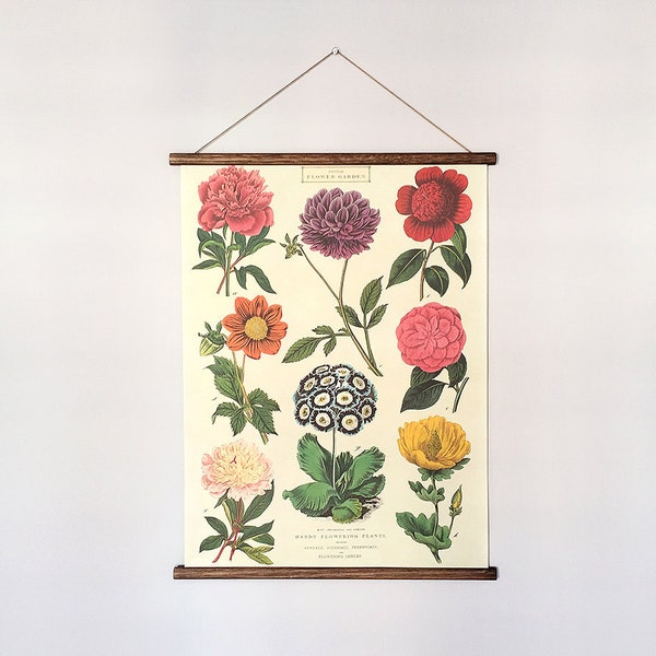 Flower garden vintage poster botanical school chart