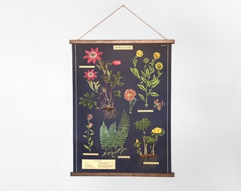 Herbarium vintage poster botanical school chart