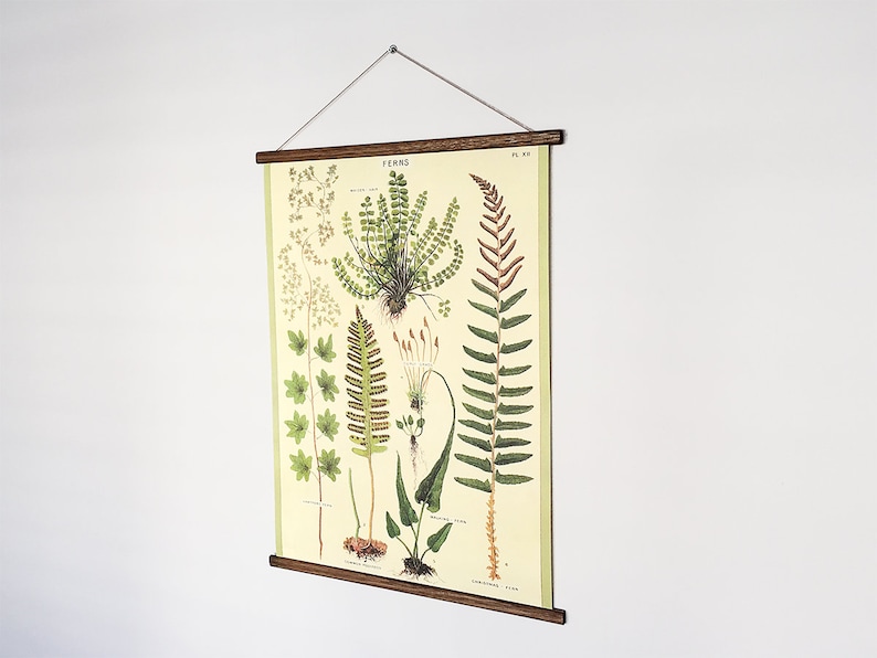 May include: A vintage botanical illustration of ferns, printed on a cream-colored background. The poster is framed with a wooden dowel rod and is ready to hang.