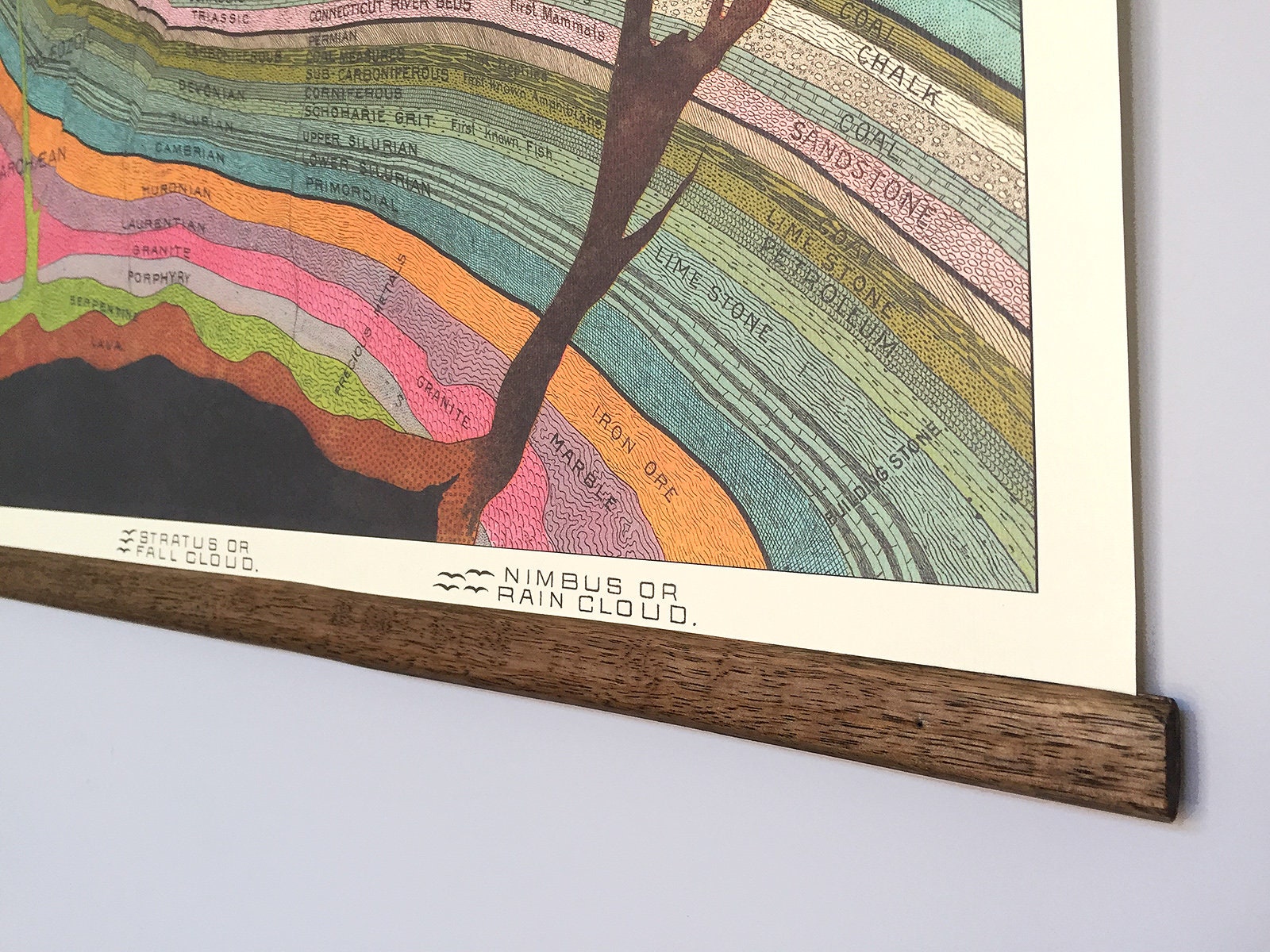 Geological Vintage School Chart Poster With Tasmanian Oak Wooden ...