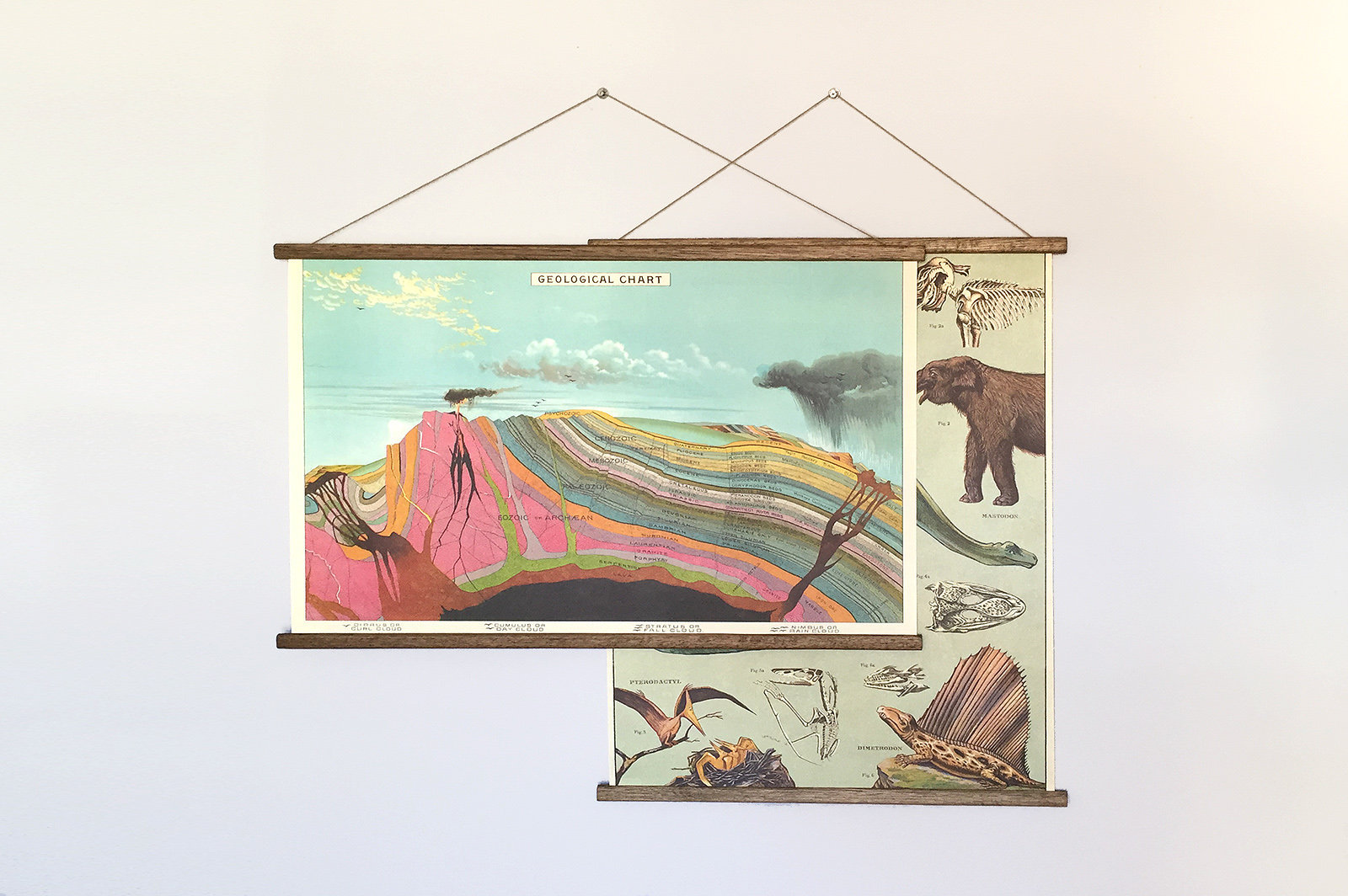 Geological Vintage School Chart Poster With Tasmanian Oak Wooden ...