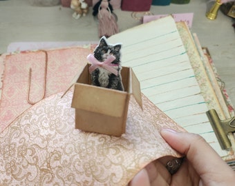 Plantilla de ventana emergente DESCARGA DIGITAL