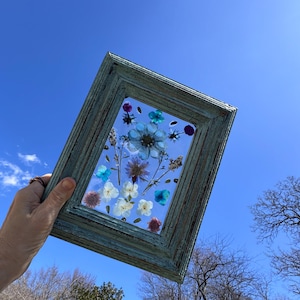 Framed pressed flowers, botanical wall art, pressed flowers sun catcher, dried blue flowers art, cottagecore home decor, floral wall art