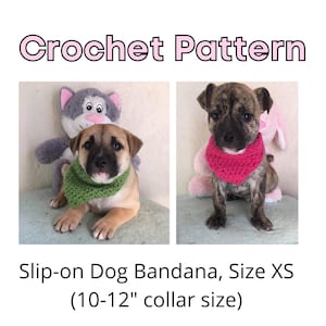 May include: Crochet pattern for a slip-on dog bandana in green and pink. The bandana is designed for a 10-12 inch collar size.