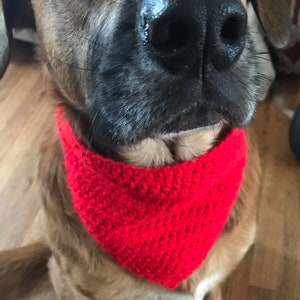 May include: A brown and tan dog wearing a red crocheted bandana. The dog is sitting on a wooden floor. Dog Bandanas.