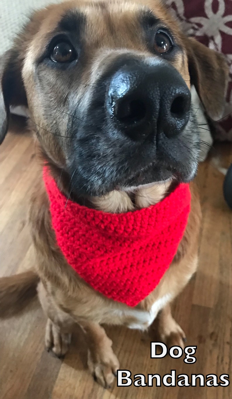 May include: A brown and tan dog wearing a red crocheted bandana. The dog is sitting on a wooden floor. Dog Bandanas.