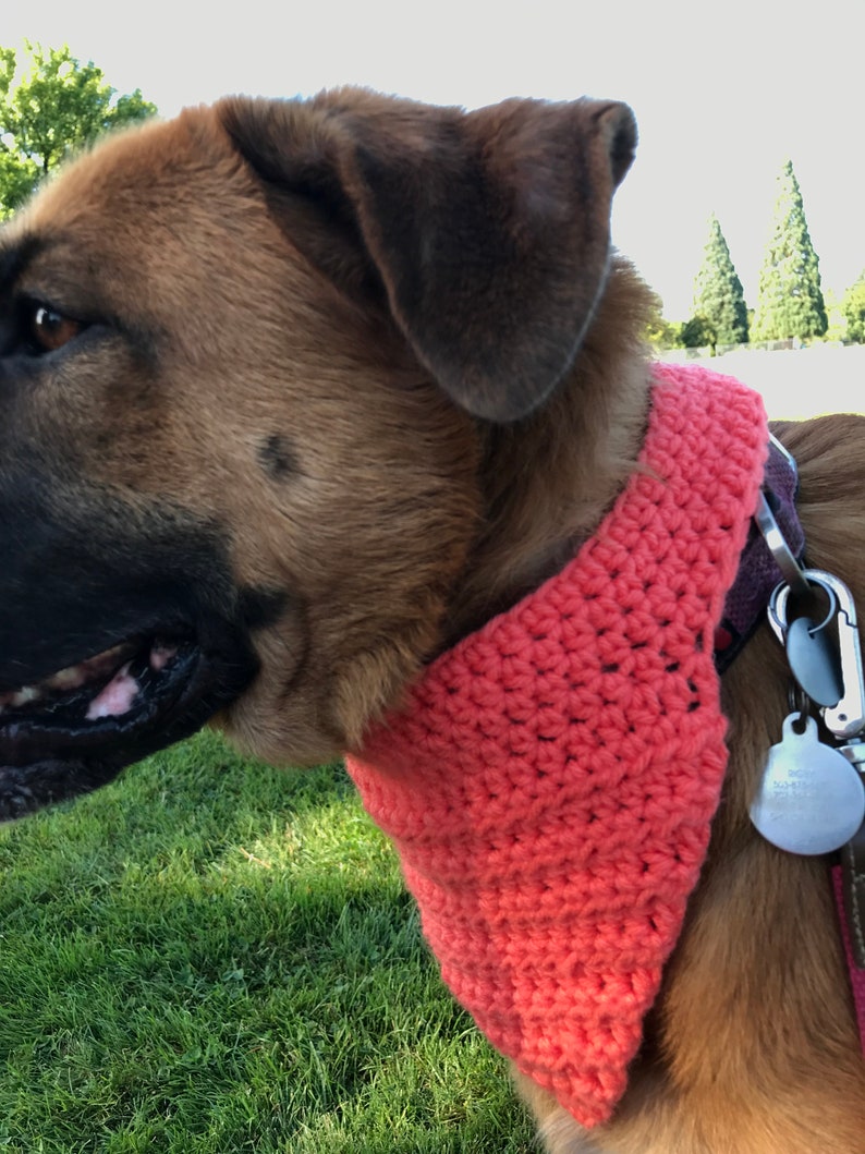 May include: A close-up of a brown dog wearing a coral pink crocheted bandana. The dog is looking to the right of the frame.