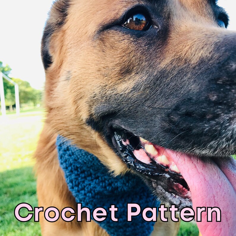 May include: Close-up of a dog wearing a blue crocheted dog collar. The dog is looking to the right and has its tongue sticking out. The text "Crochet Pattern" is at the bottom of the image.