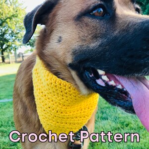 May include: A yellow crocheted dog bandana with a simple stitch pattern. The bandana is worn by a brown dog with a black nose and tongue.