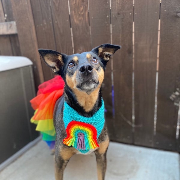 Rainbow Dog bandana, rainbow with fringe, teal blue, slip-on, dog neckwear, pet accessory, crocheted, handmade available in XXXS-XXL sizes