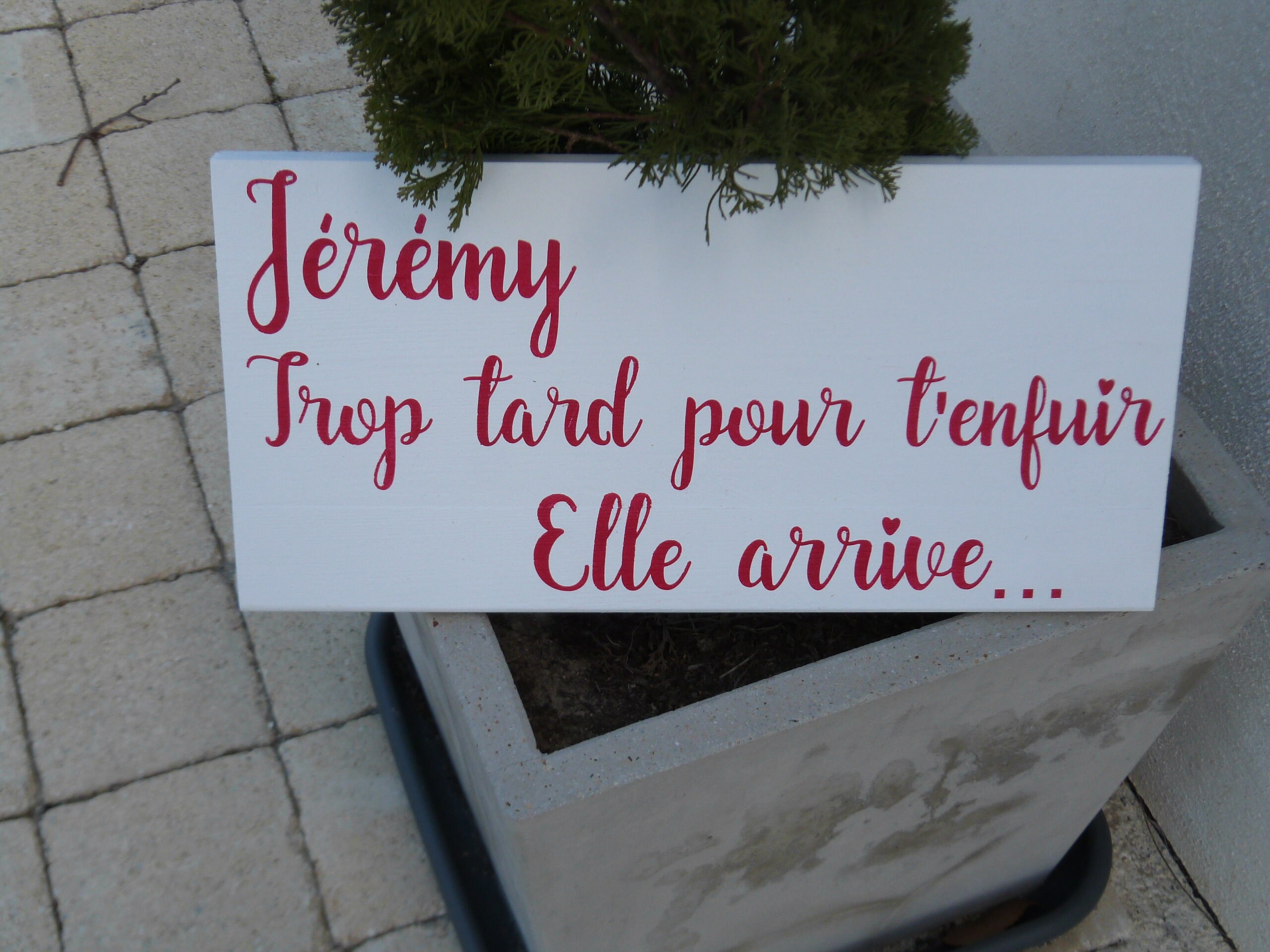 Pancarte Trop Tard Pour T Enfuir Elle Arrive Panneau ' Trop Tard Pour T'enfuir ' Pour Cortège - Etsy Singapore
