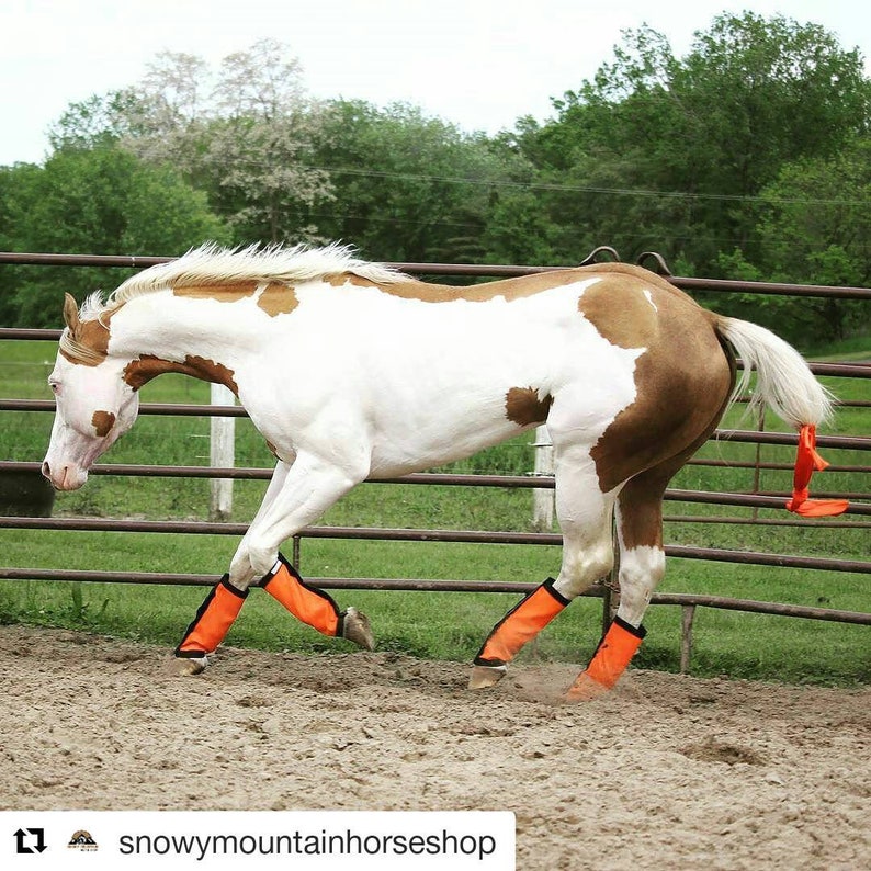 Fly Wraps / Fly Boots / Fly Leggings for Horses Straight Etsy