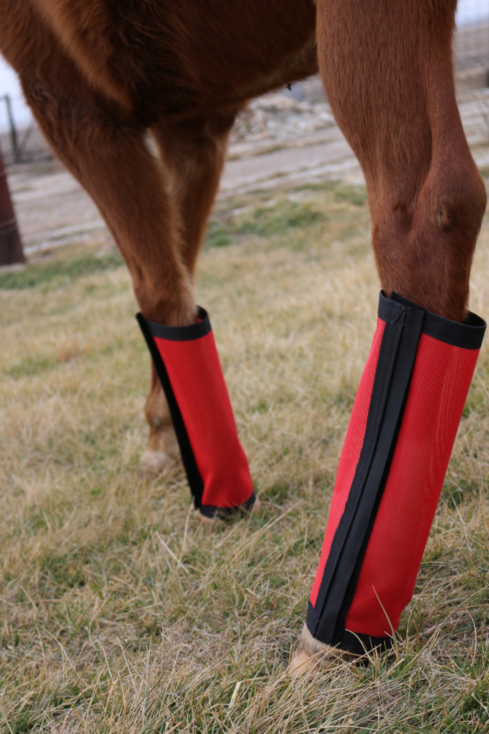 Fly Boots Fly Wraps / Leggings for Horses Tapered Style Set Etsy
