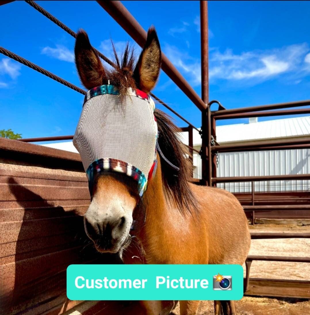 Masque Anti-mouches Pour Cheval Martin Farms, Taille Cheval, Réglable, Protection UV 80% (mini Burro)