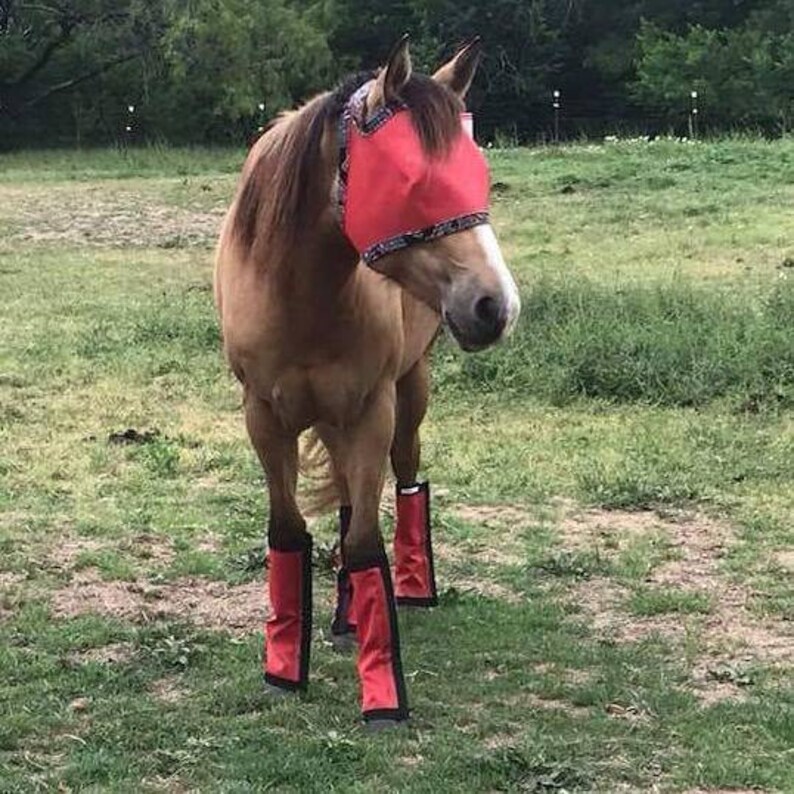 Straight Style Set Of 4 Fly Boots Fly Wraps Leggings For Horses